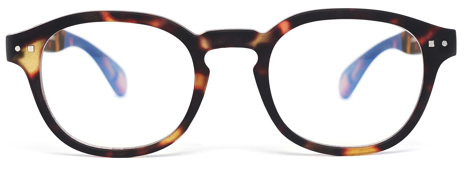 FEEGOO Tortoise model 2 screen/reading glasses front