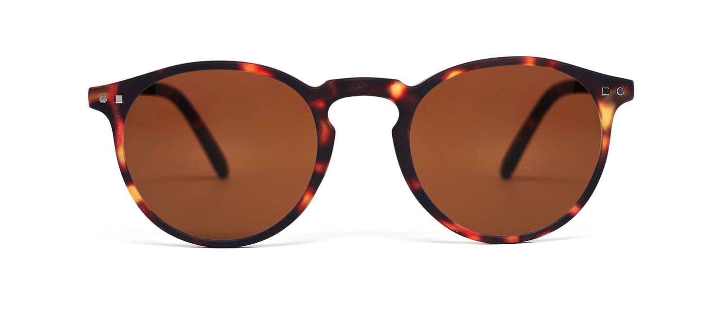 Tortoise brown lenses model 3 sun glasses front