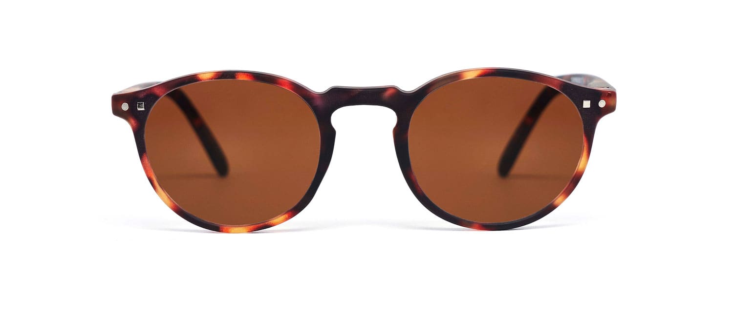 Tortoise brown lenses model 4 sun glasses front