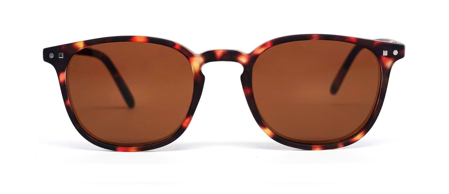 Tortoise brown lenses model 5 sun glasses front