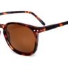 Tortoise brown lenses model 5 sun glasses side