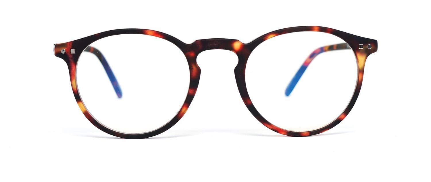 Tortoise model 3 reading glasses front