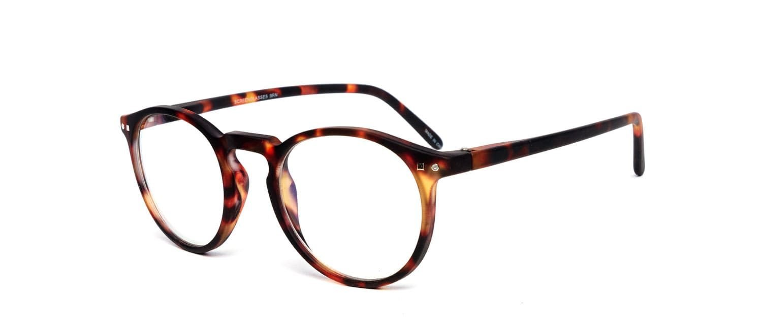 Tortoise model 3 reading glasses side