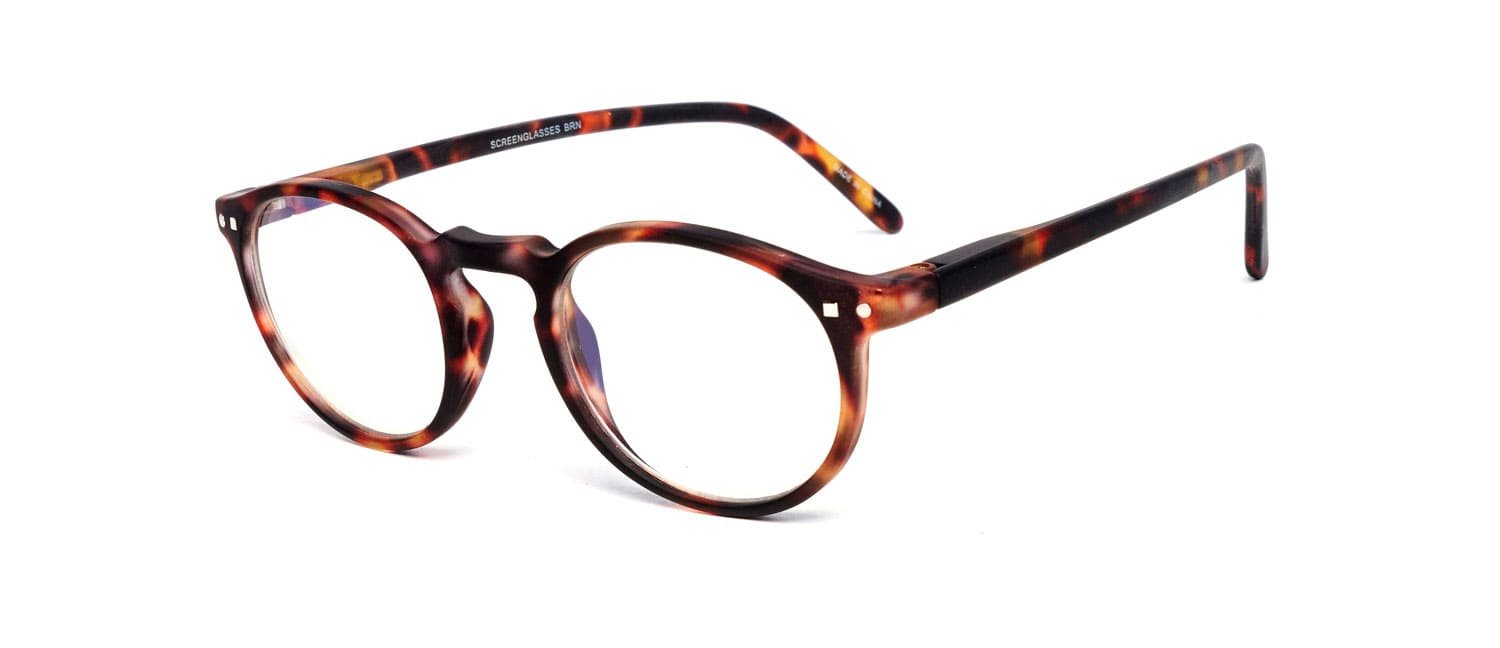 Tortoise model 4 reading glasses side