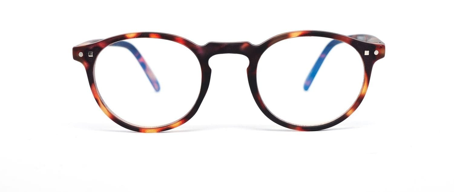 Tortoise model 4 screen glasses front