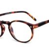 Tortoise model 4 screen glasses side
