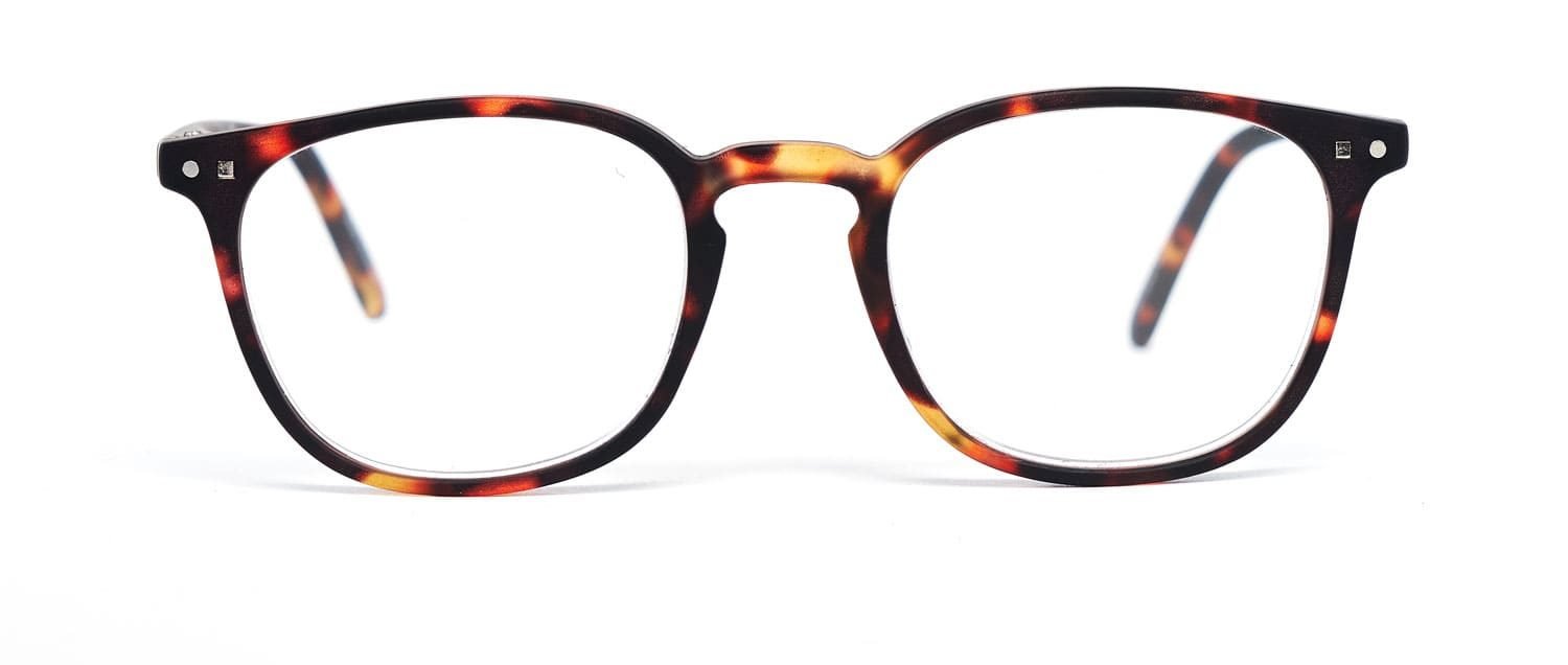 Tortoise model 5 screen glasses front