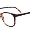 Tortoise model 5 screen glasses side