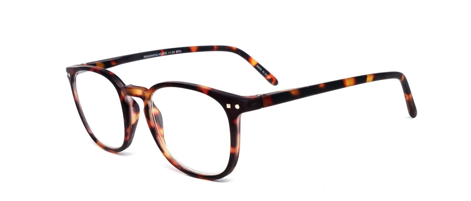 Tortoise model 5 screen glasses side