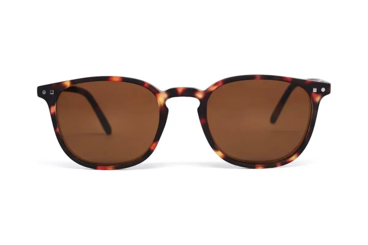 FEEGOO N5 sole tartaruga lente marrone